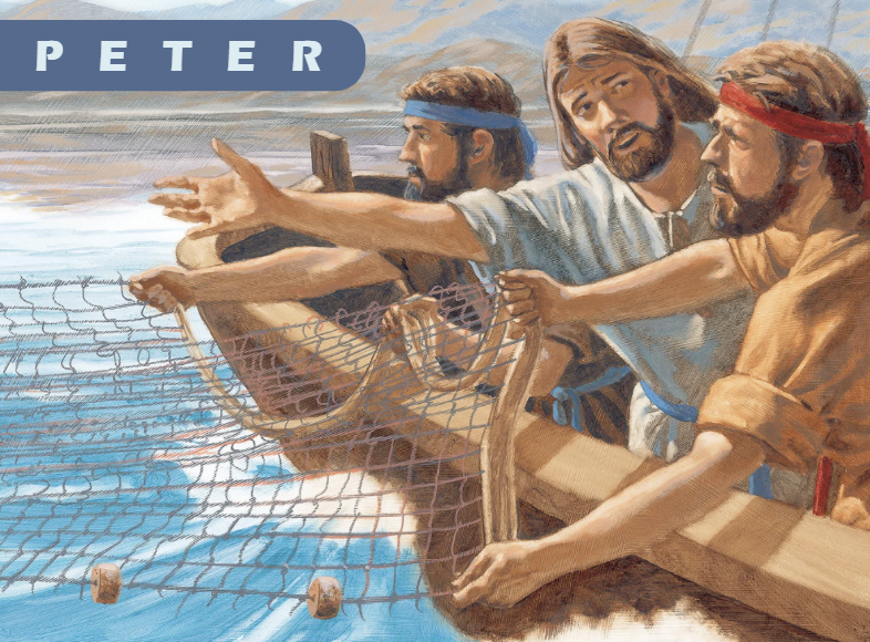 3A17 Peter INTERACTIVE.png