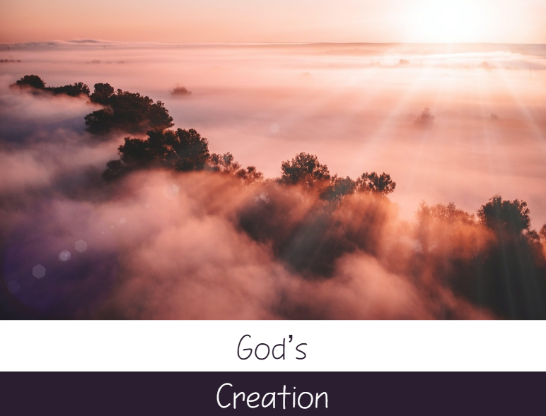 2A1 God's Creation INTERACTIVE.png