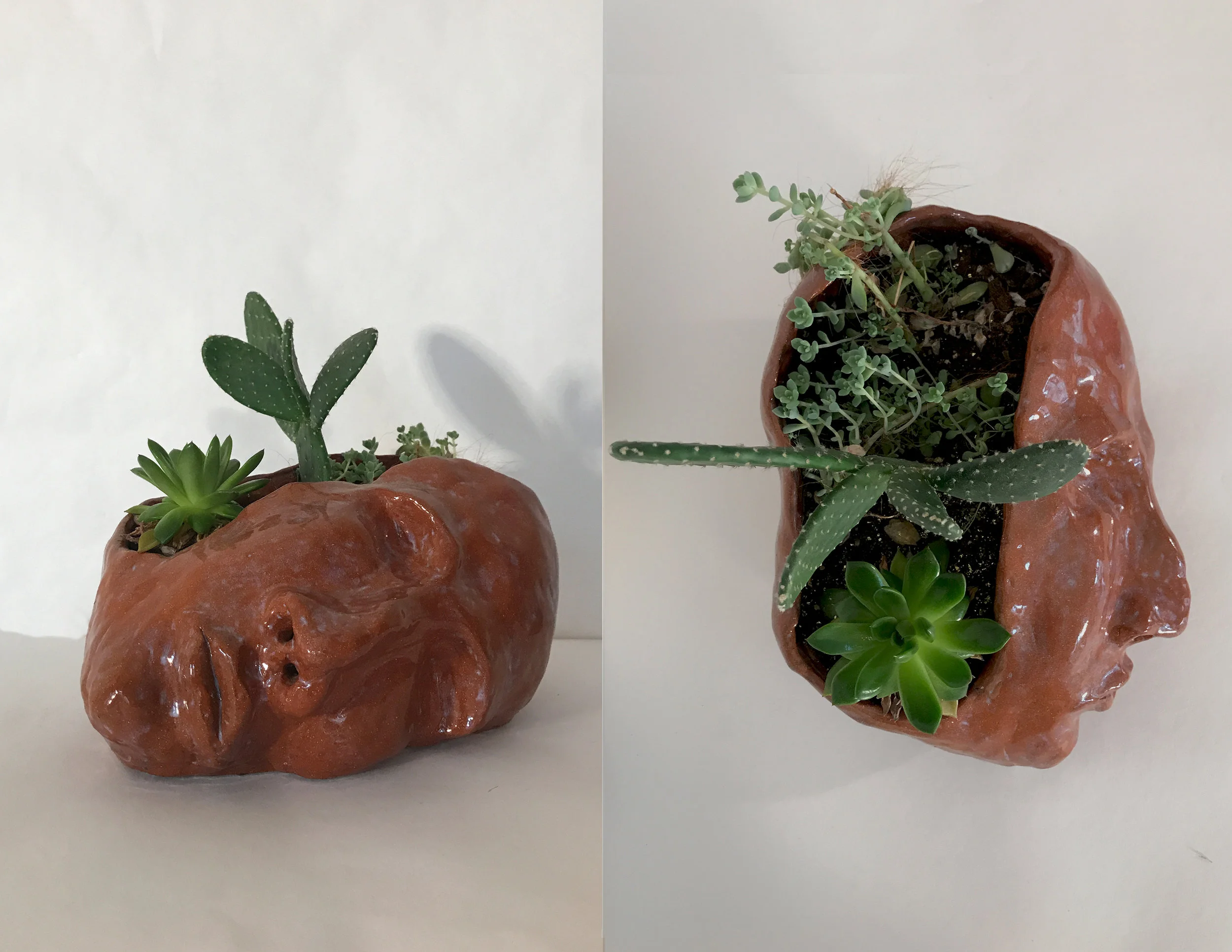 Planter Thoughts