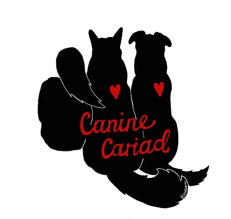 Canine Cariad