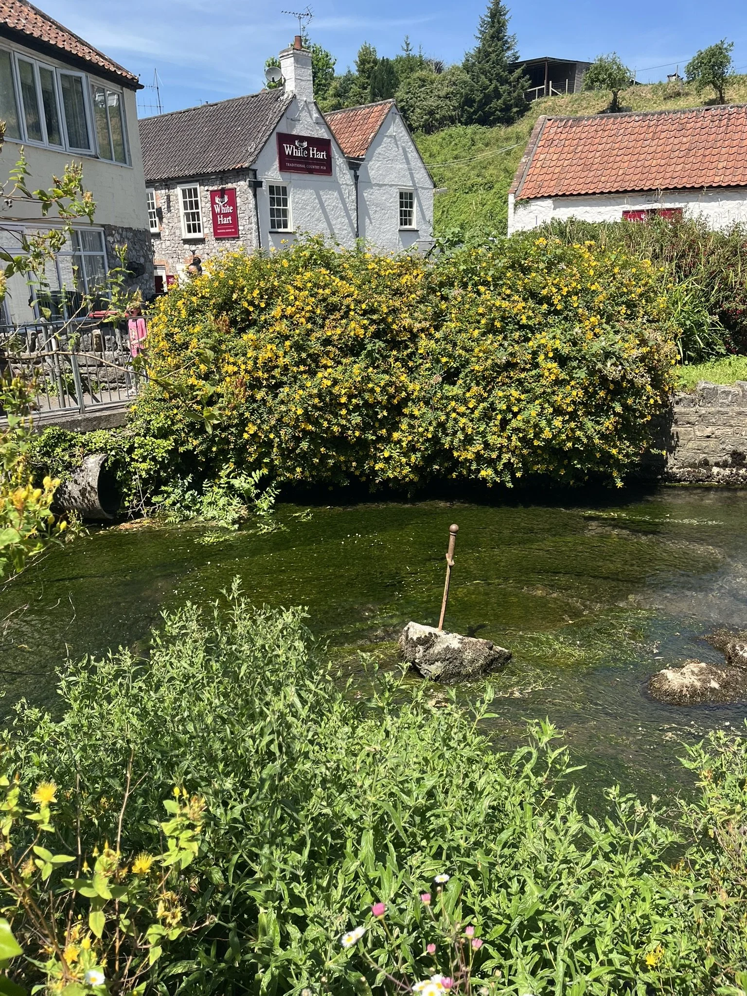 IMG_4528.JPEG