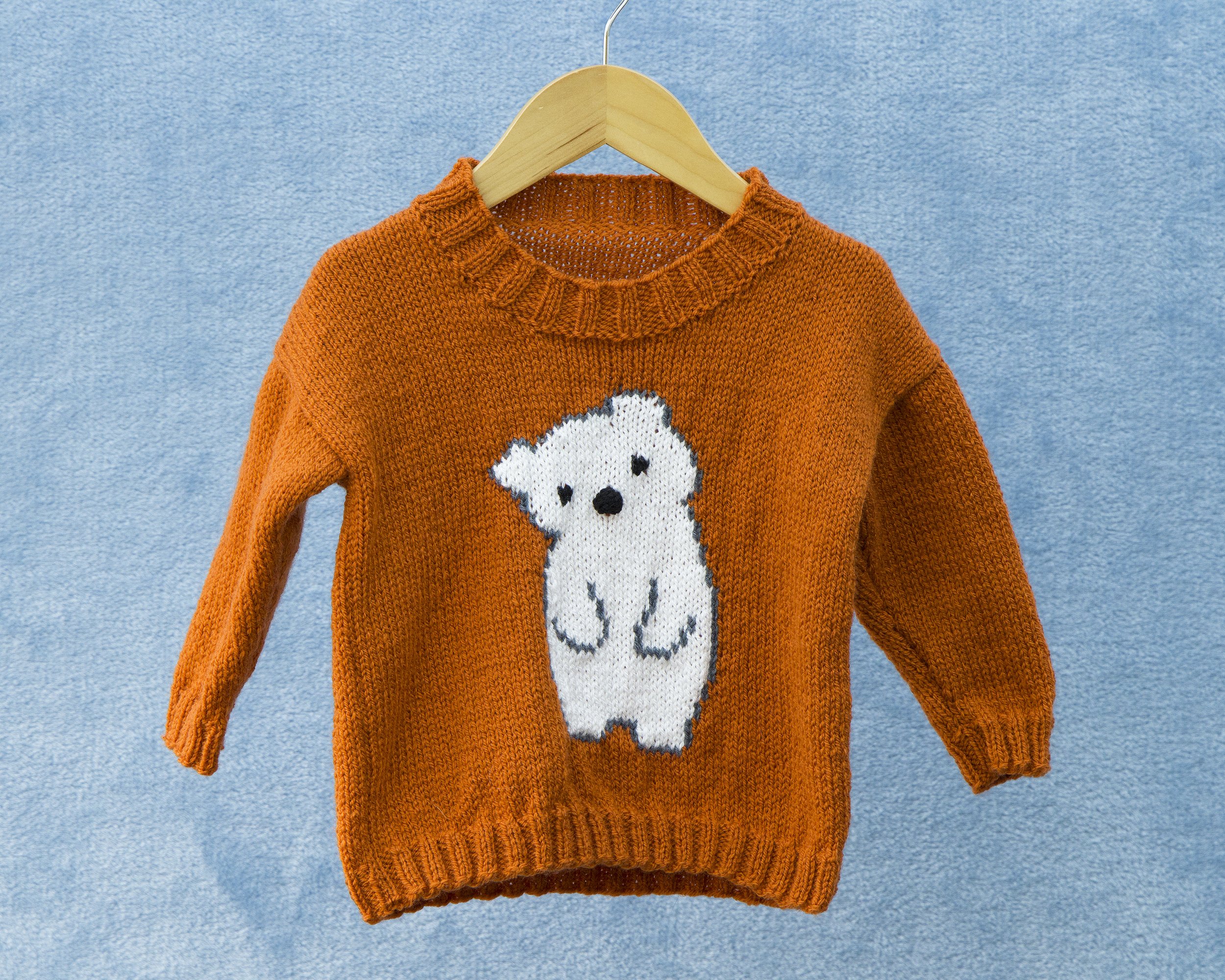 Polar Bear Motif Childrens Jumper.jpg