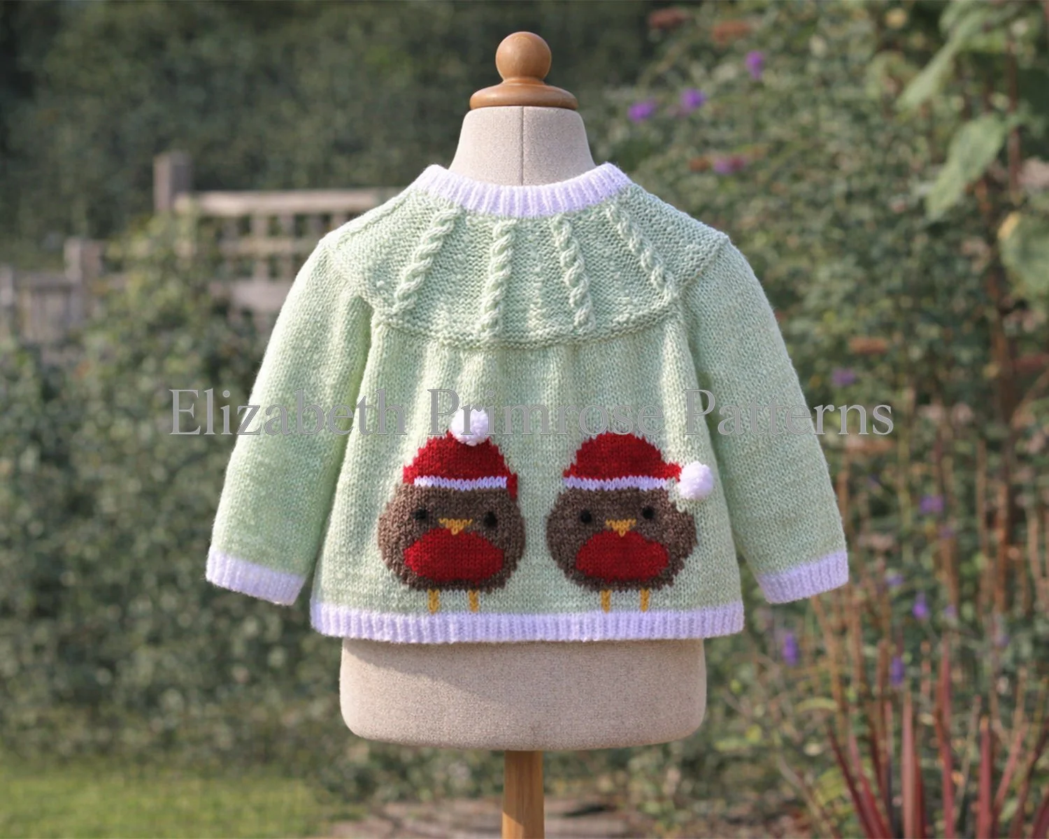 back-christmas-robin-jacket-p18.jpg