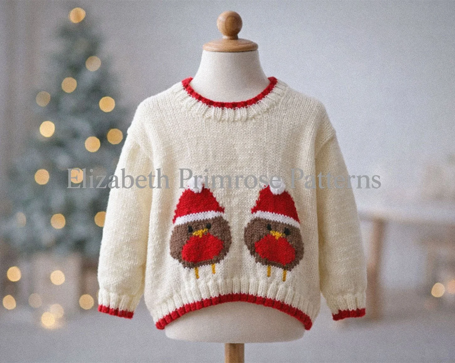 Christmas Robins Jumper