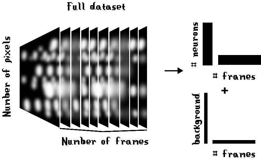 Figure 8. Visualization of the CNMF-E method of data compression.