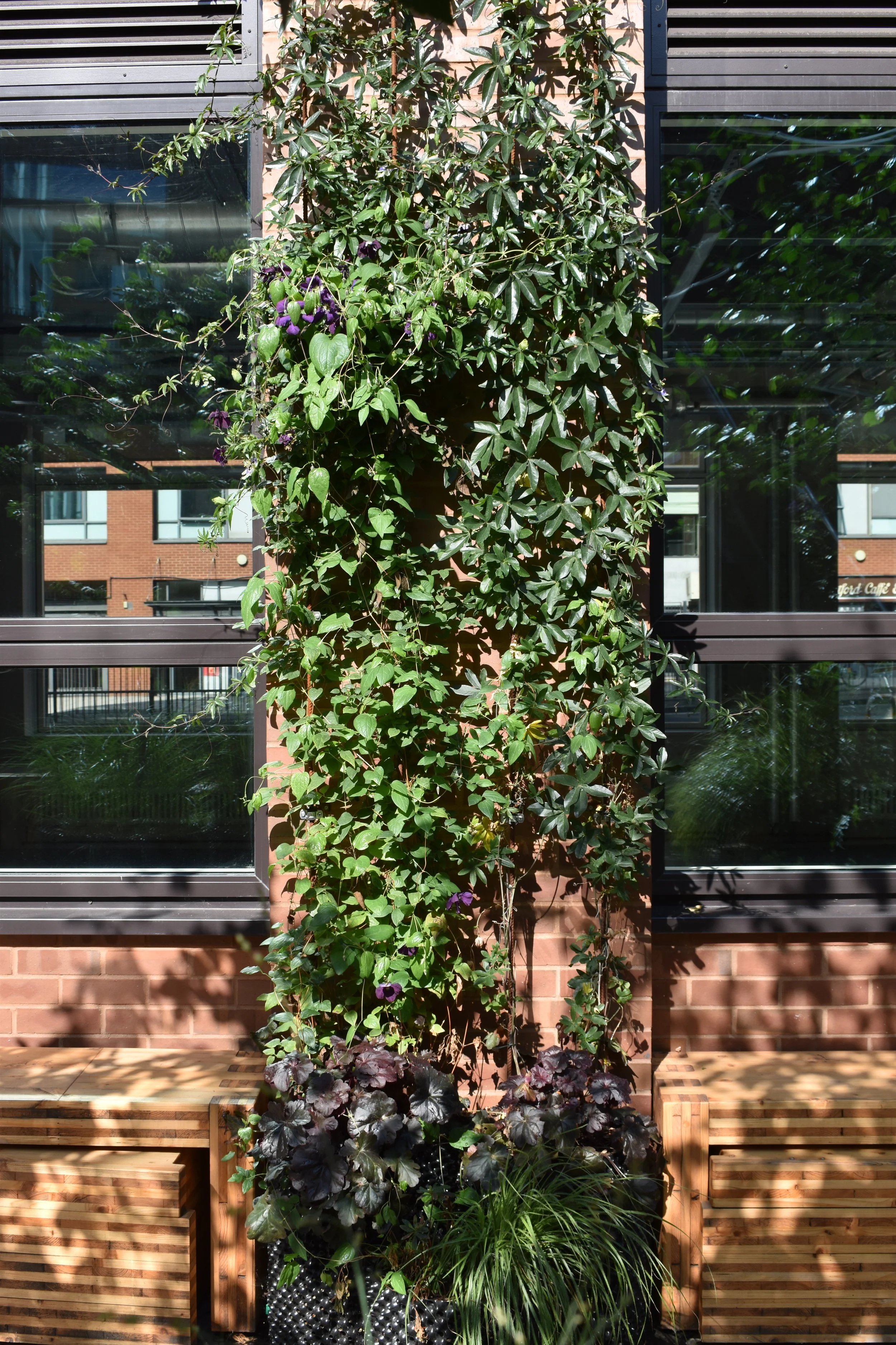 DSC_0457.JPG