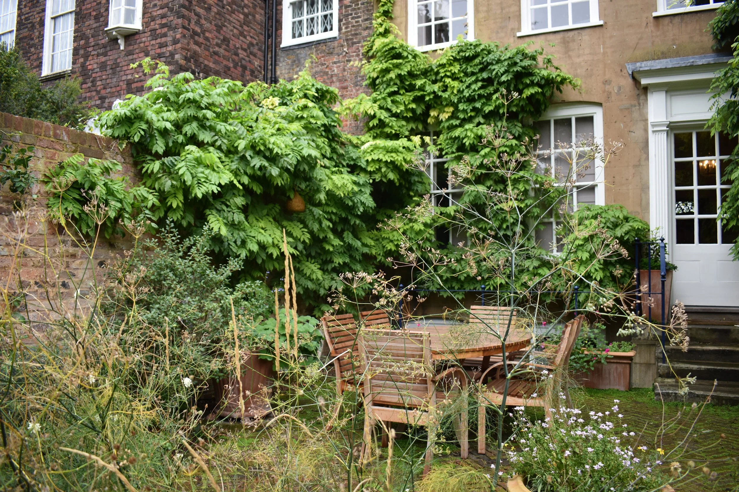 DSC_0079.JPG