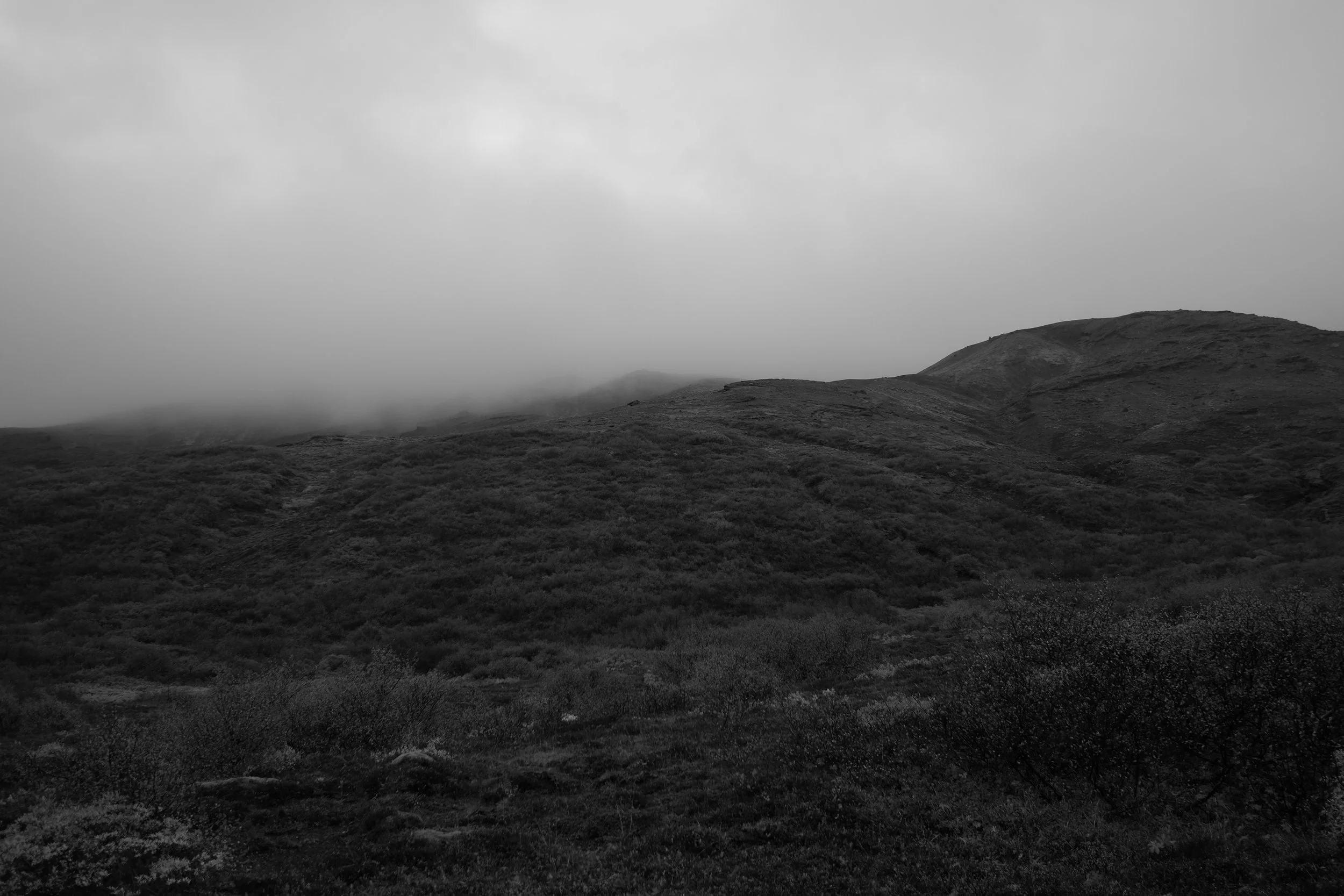 DSCF9126.JPG
