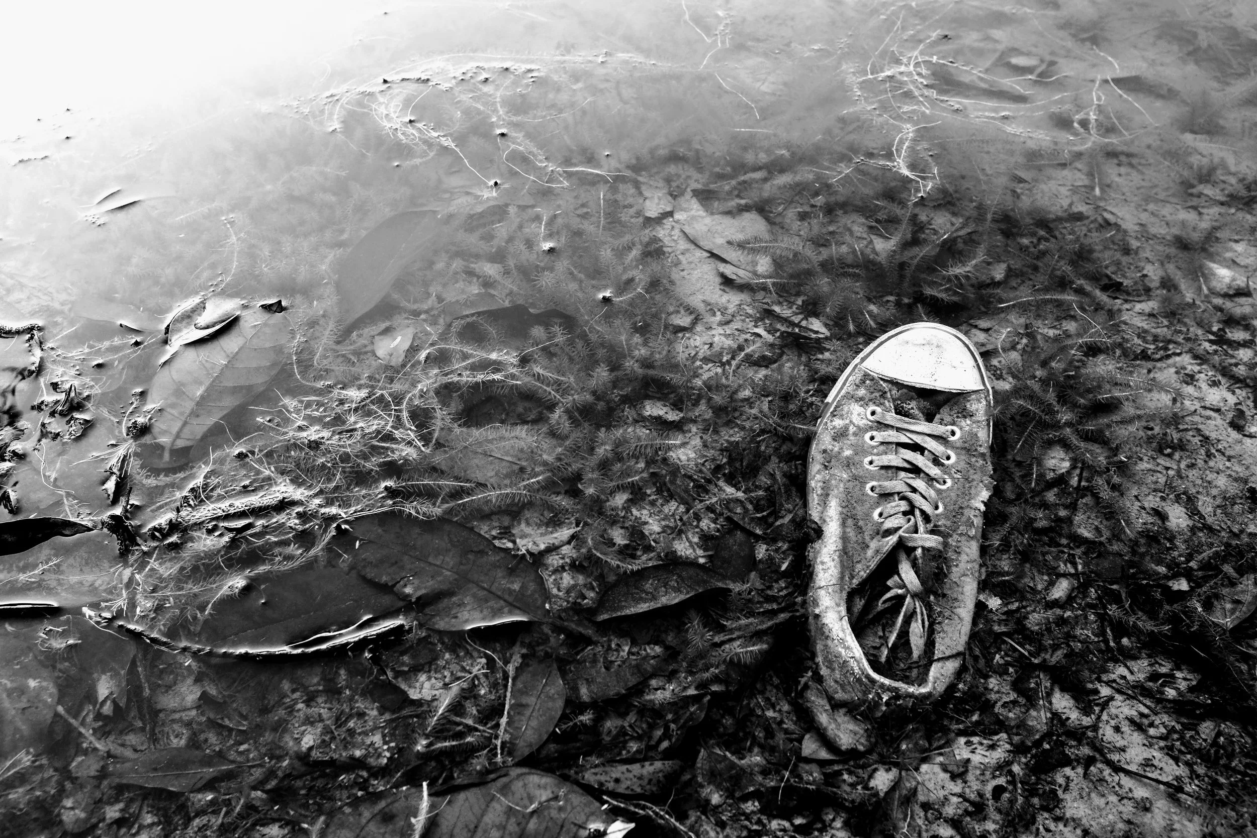 your all star is sunk