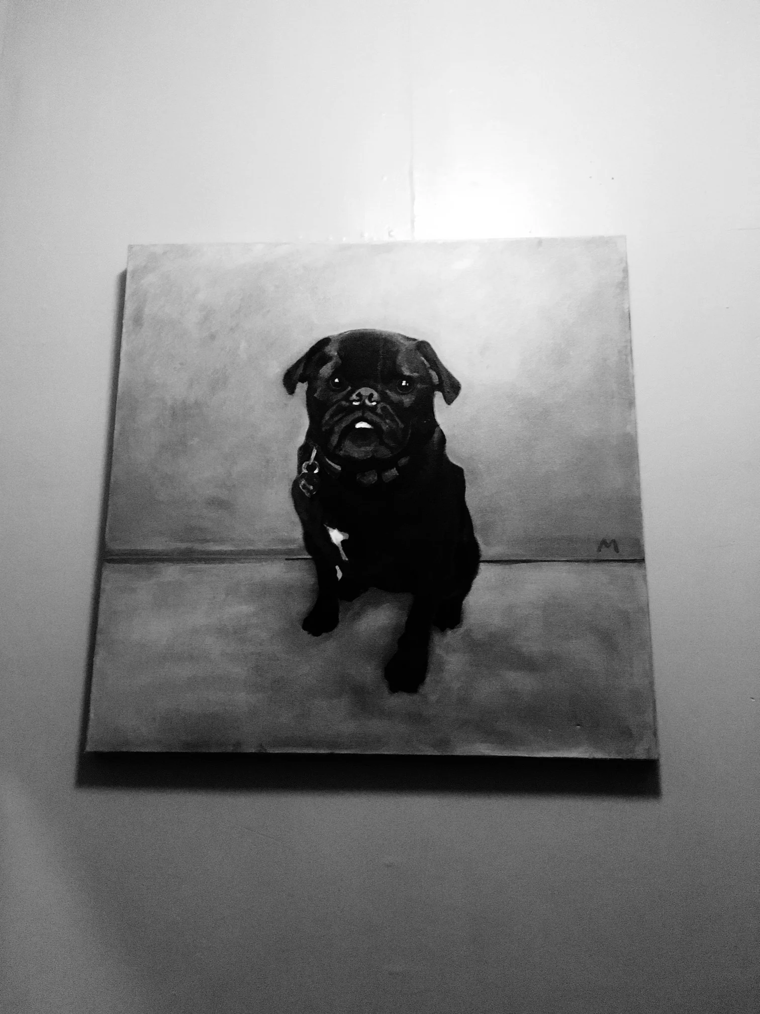 the year of living pugnaciously 