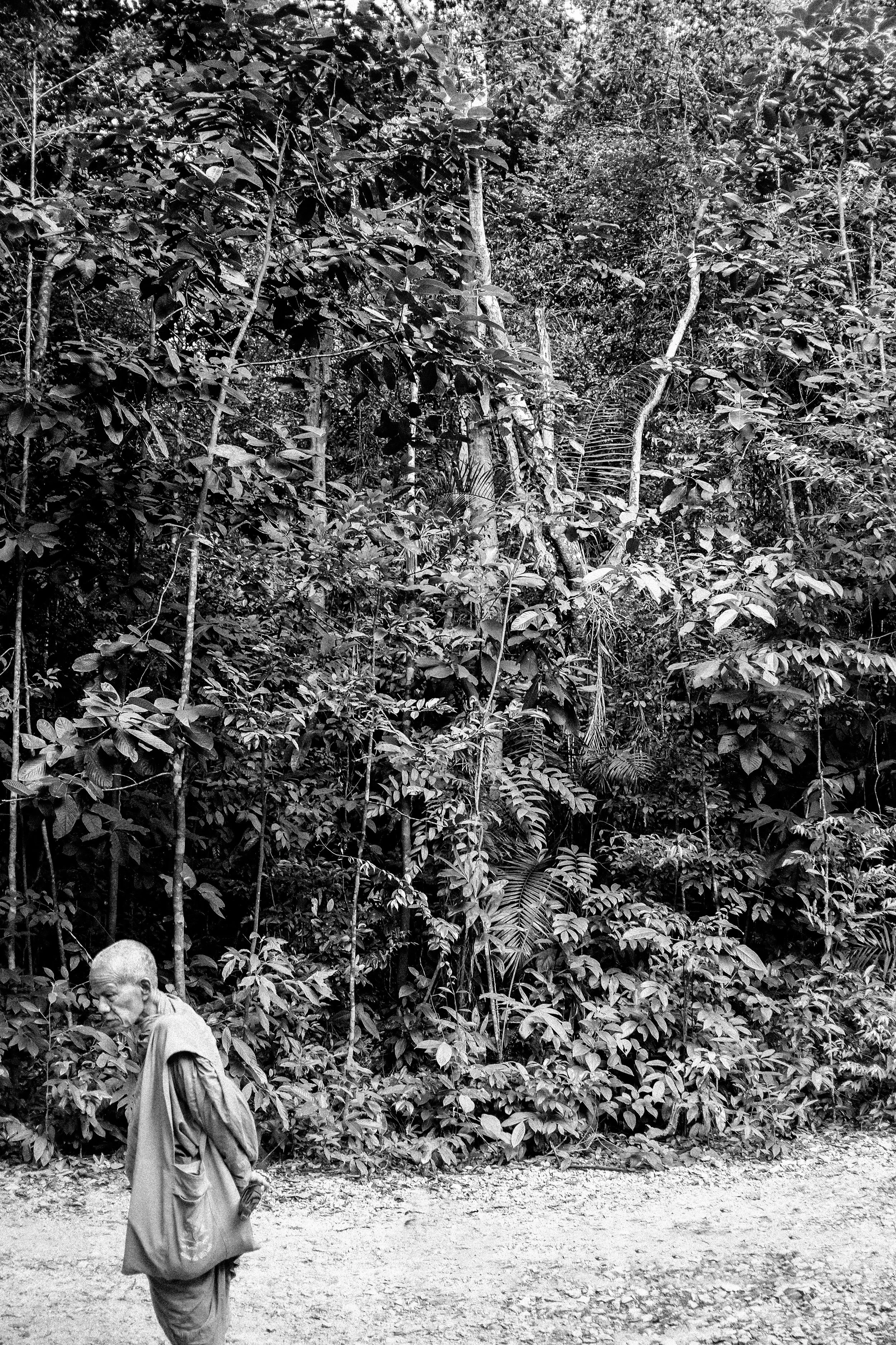 if you meet the buddha on the path