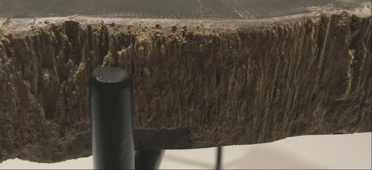 versteend-hout-tafel-6.jpg