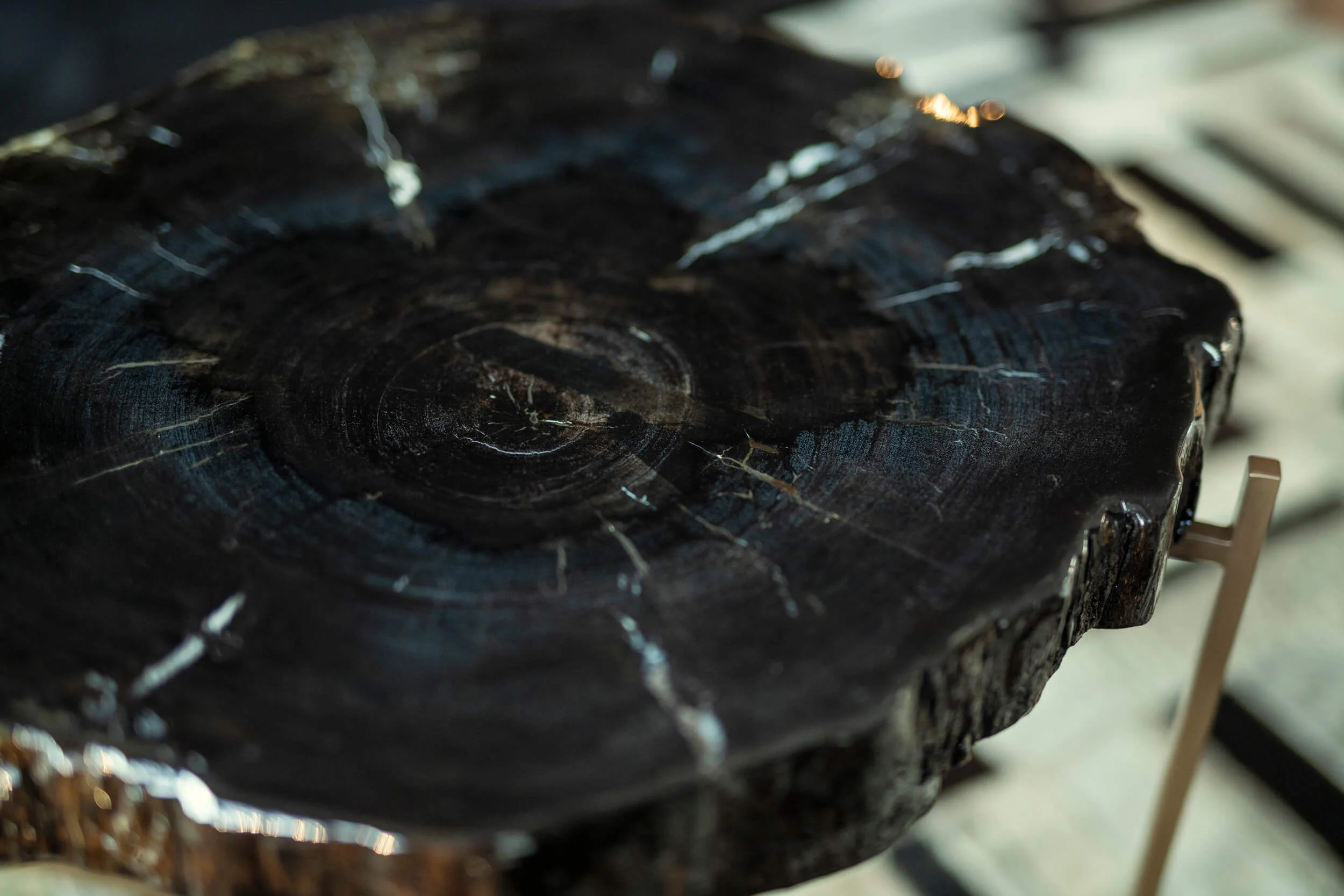 Versteend hout tafel