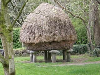 What are staddle stones? — Shire Oak