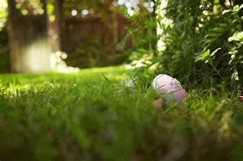 Were getting ready for Easter 2023 - Are you?