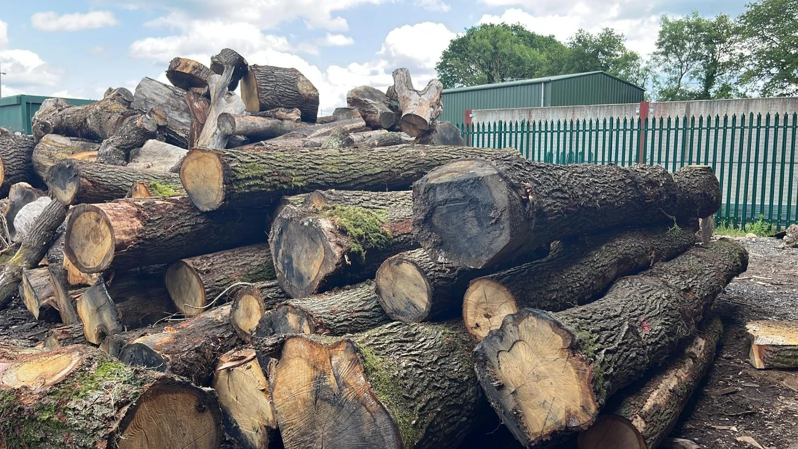 Why we choose Oak above all else, and maybe why you should too... 