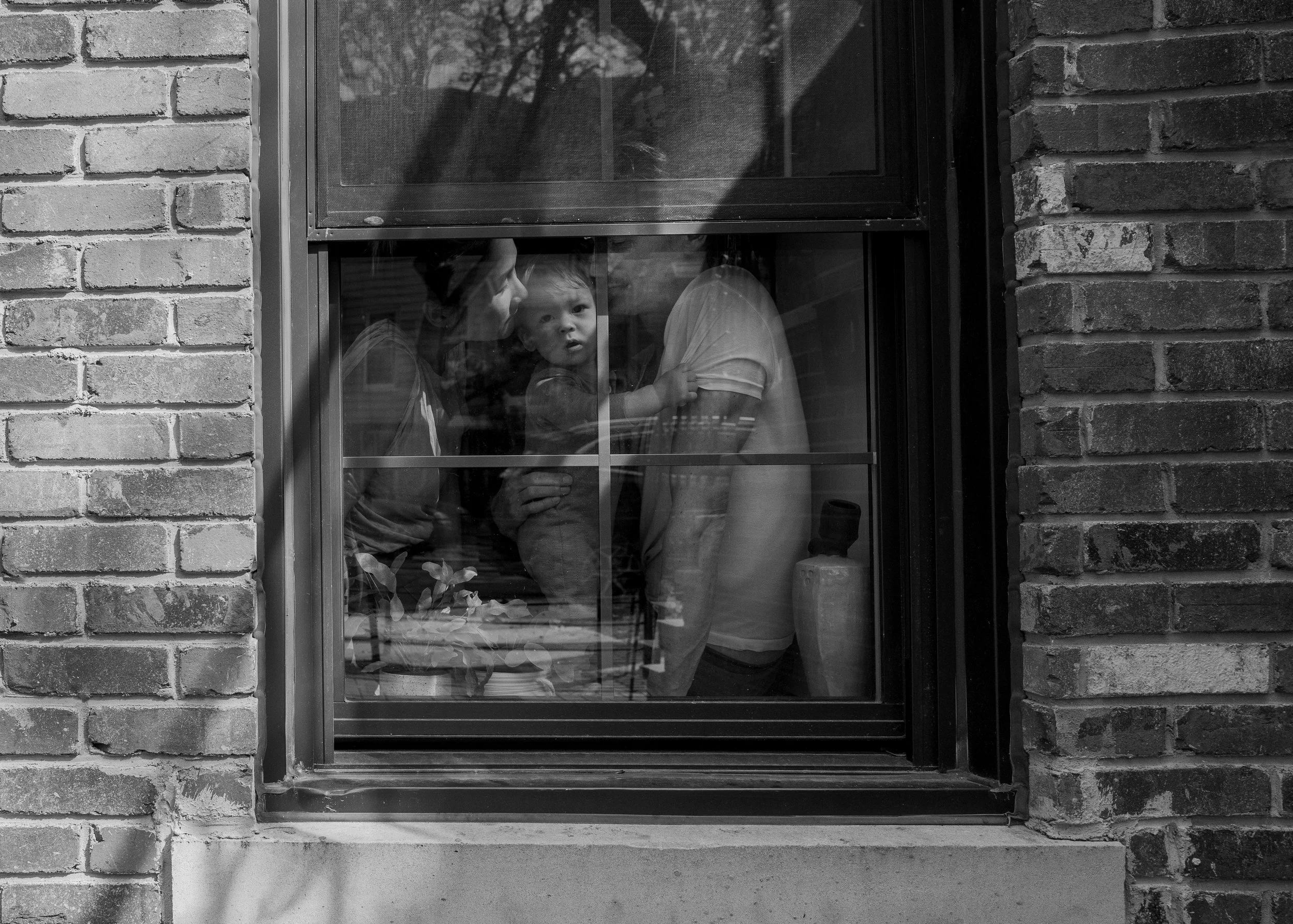 L1050982.jpg
