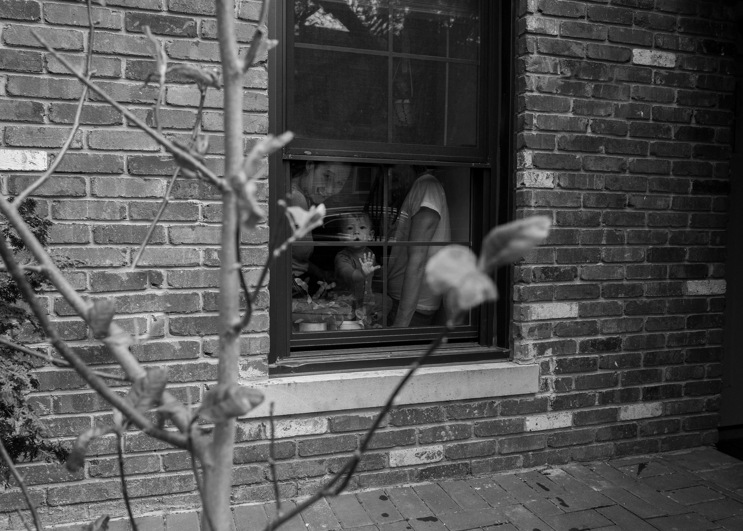 L1050975.jpg