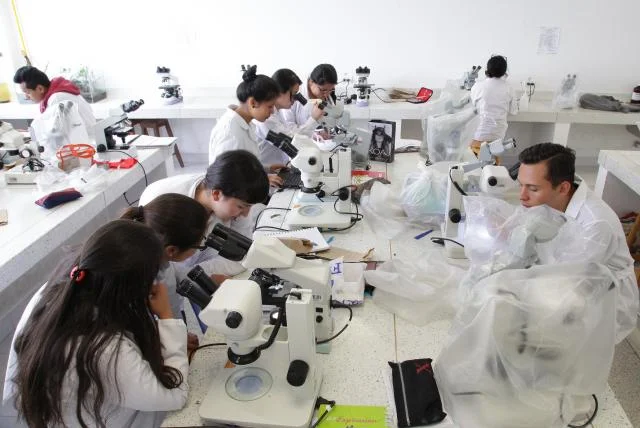 Vincular ciencia con sociedad, uno de los retos del nuevo ministerio