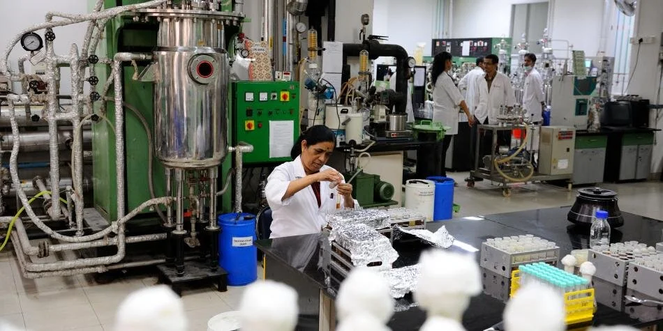 India, la farmacia del mundo