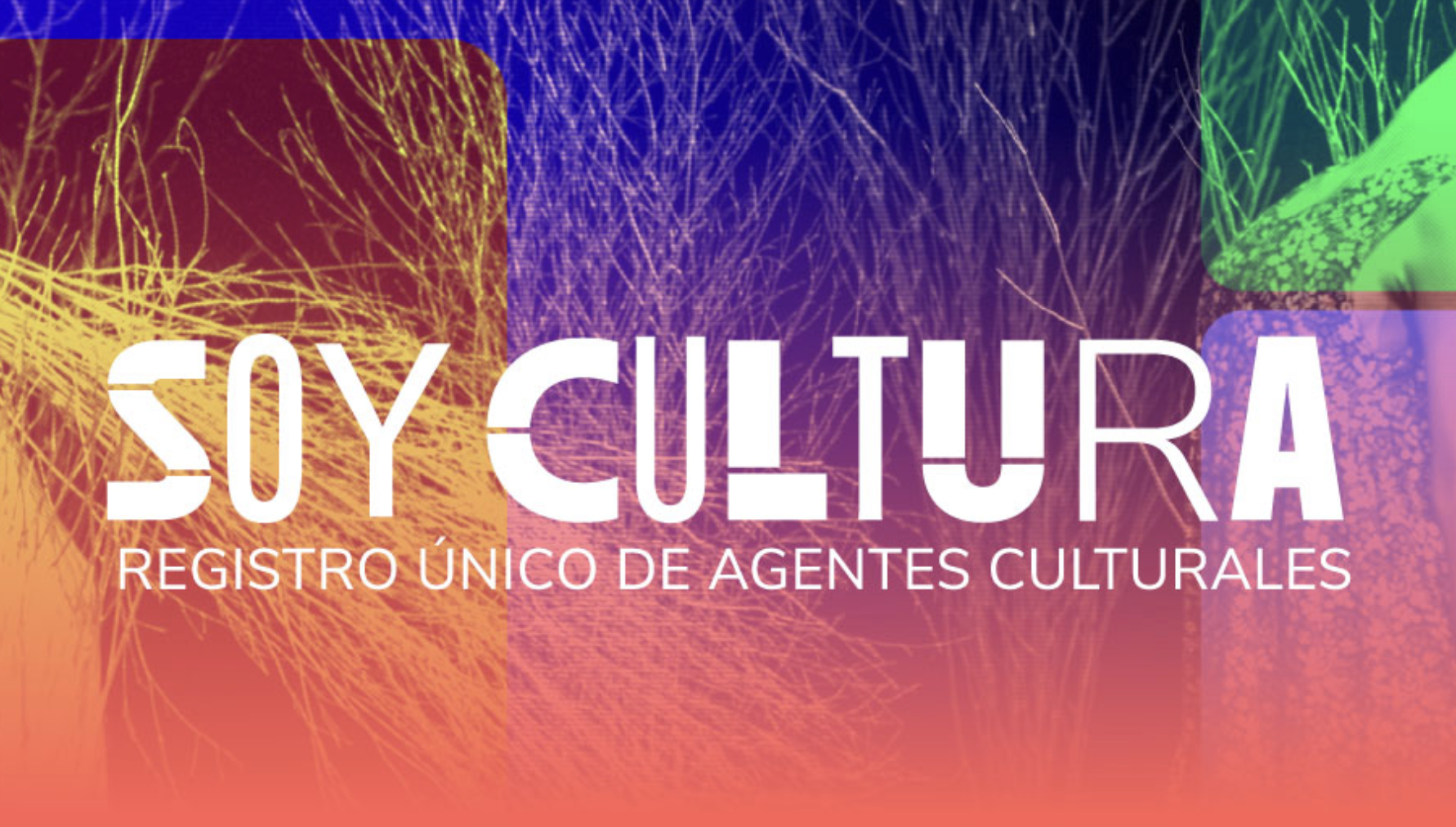 Tarjeta SOY CULTURA: democratización económica e institucional para miles de artistas colombianos