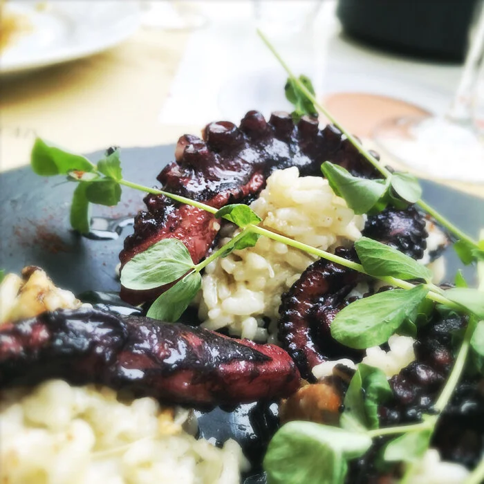azorean octopus.jpg