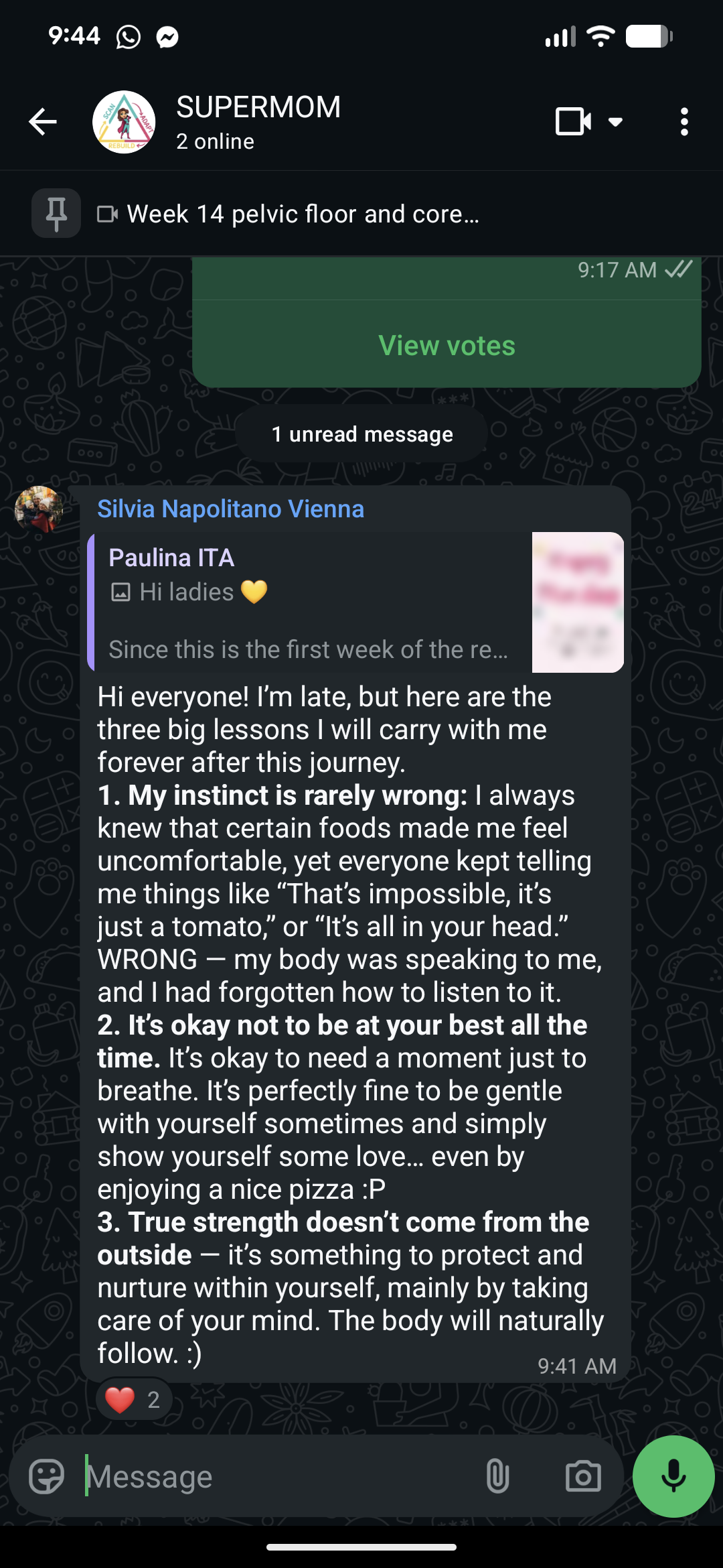 silvia na.png