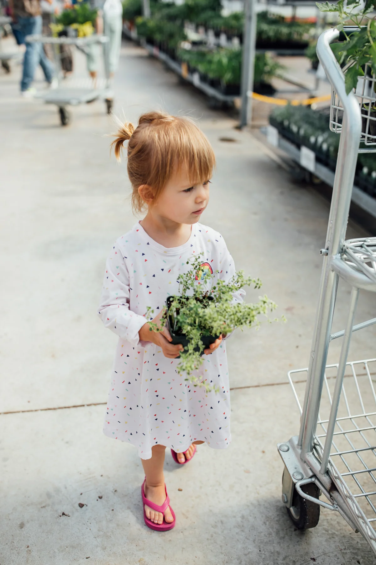 Our 2017 Garden | Step 1: Buy Plants