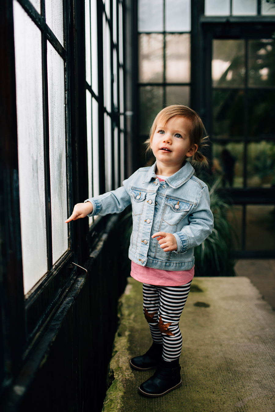 Longwood Gardens - Orchid Extravaganza!