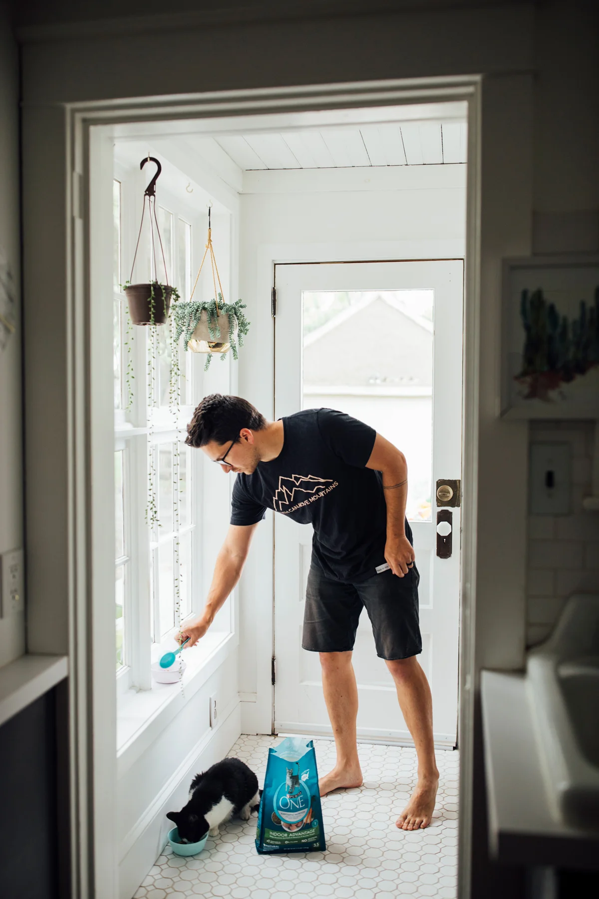 4 Tips To Keeping Your House Fresh, Even With Cats