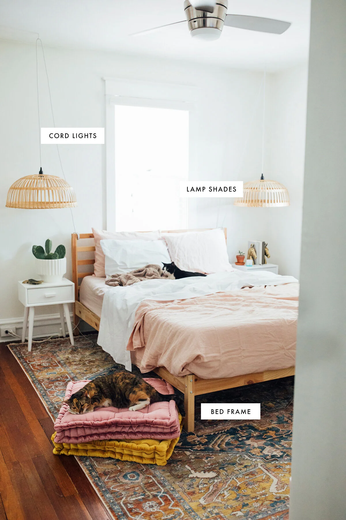 walkinlove_purinaONE_freshhousewithcats-1.jpg