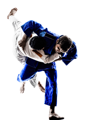 jiujitsu.png