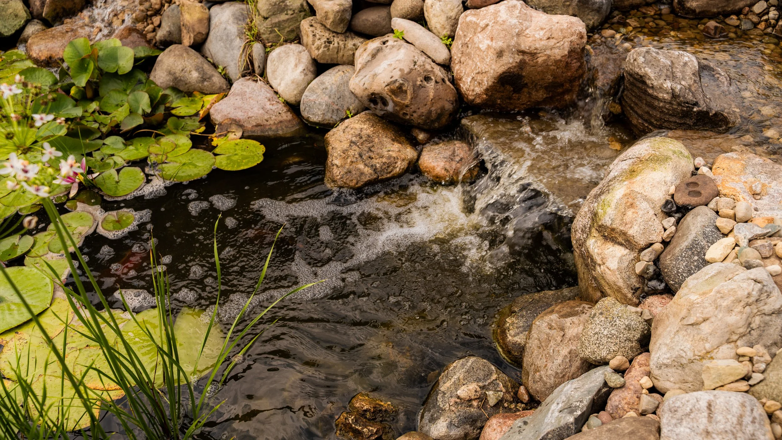 Water Features and Mental Health: A Homeowner’s Guide to Building Peace in Your Northern Indiana Backyard