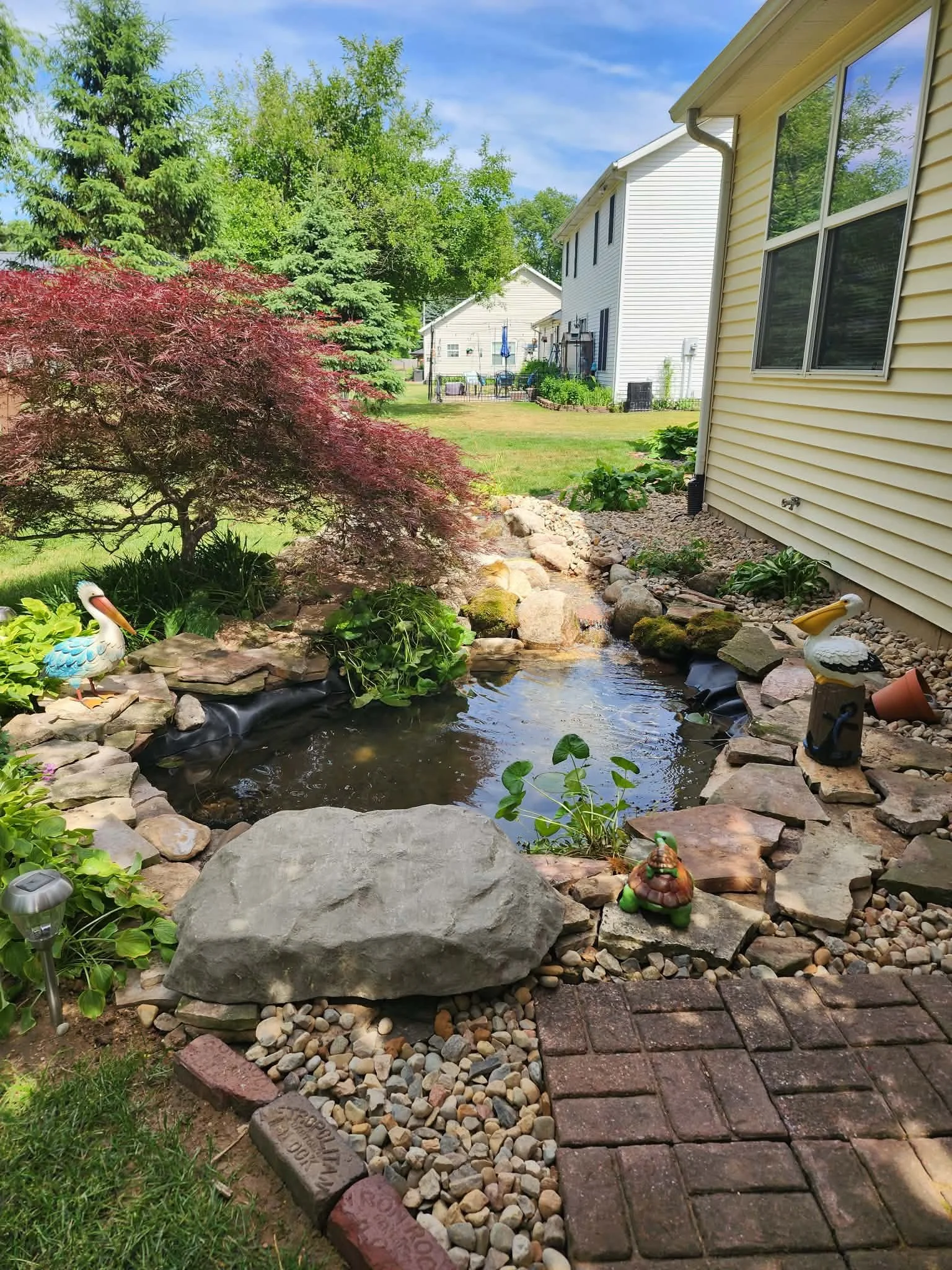 summer pond questions