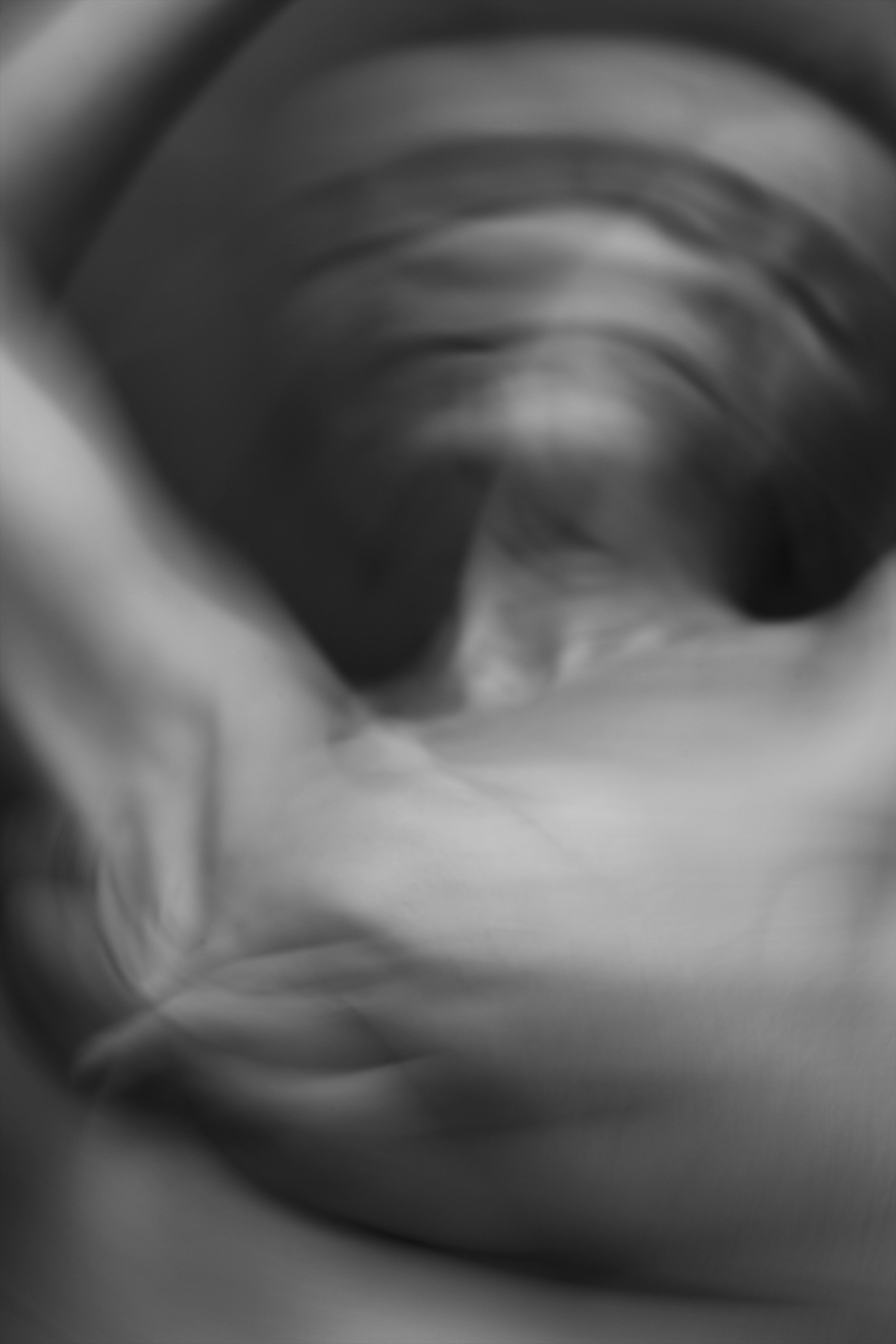 N°5.jpg