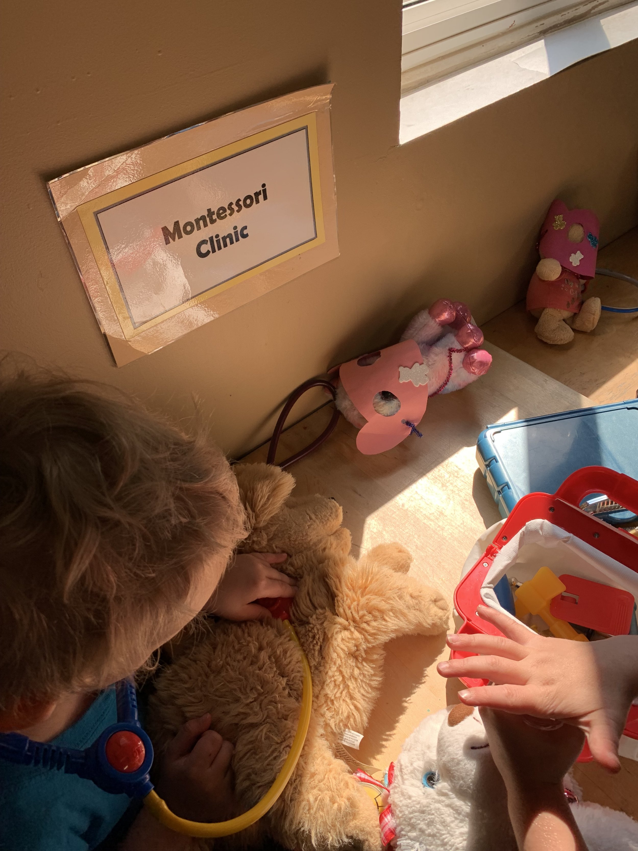 GALLERY — Winnipeg Montessori School