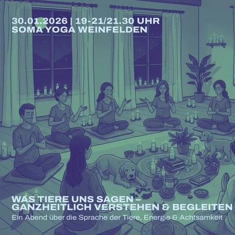 🐾 Was Tiere uns sagen – ganzheitlich verstehen &amp; begleiten