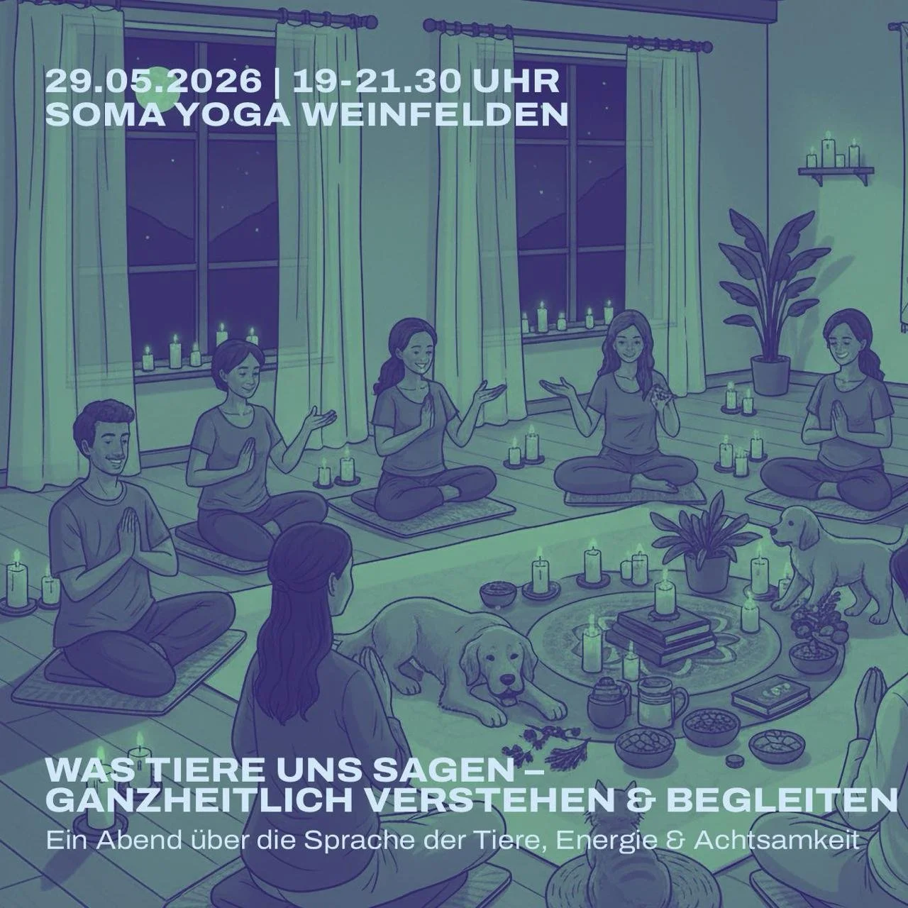 Was Tiere uns sagen – ganzheitlich verstehen &amp; begleiten