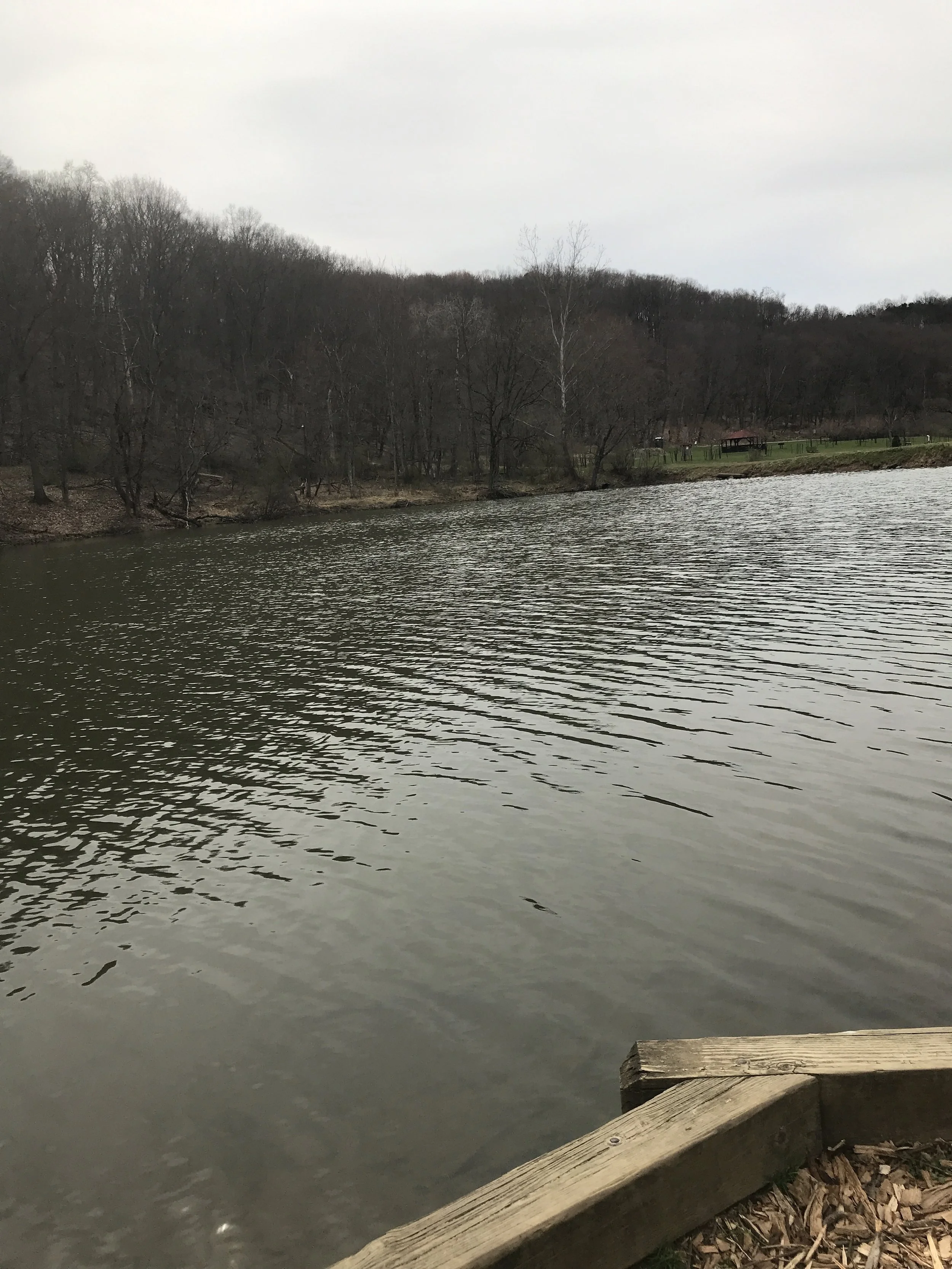 Slow Down and Enjoy the Waves