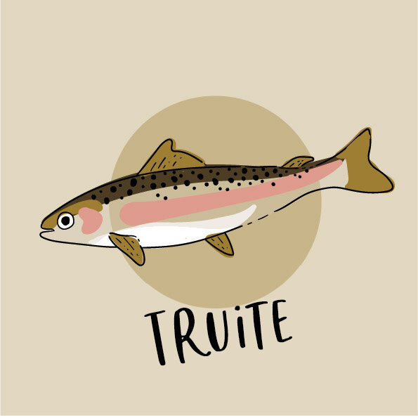 Trout_FR.jpg