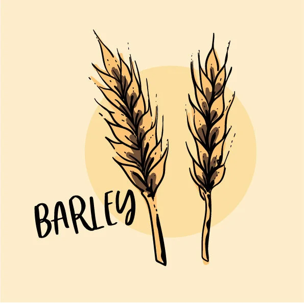 Why did we choose to include grains in the ADORE formulas?