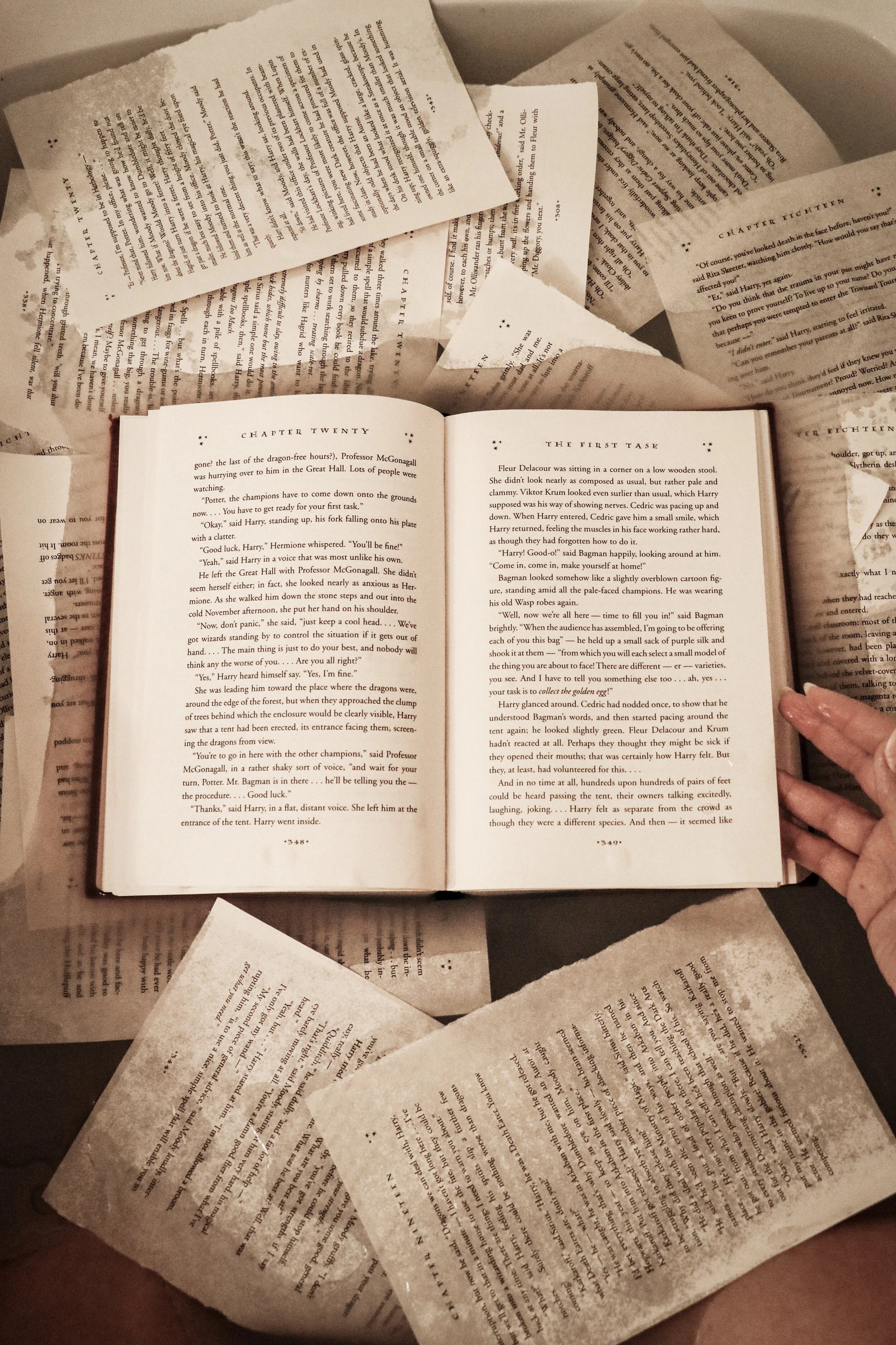 4979BD46-A5FA-4D7C-9DB9-2224C8C2BC46 2.JPG