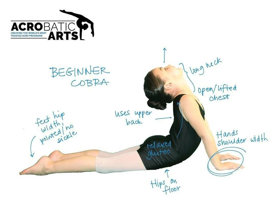 Dance Stretches &amp; Games — Kehl School of Dance