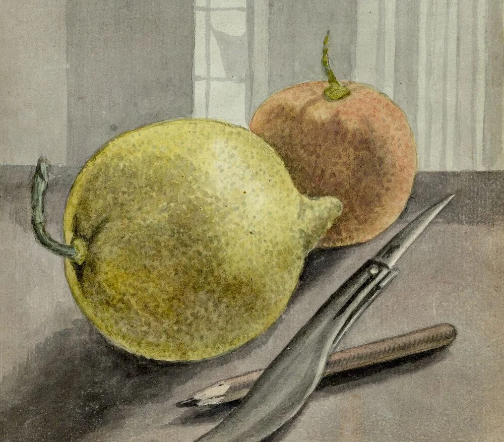 Image: Stilleven met vruchten, mes en potlood., Jan Brandes, 1779 - 1785, Rijksmuseum. Used with permission.