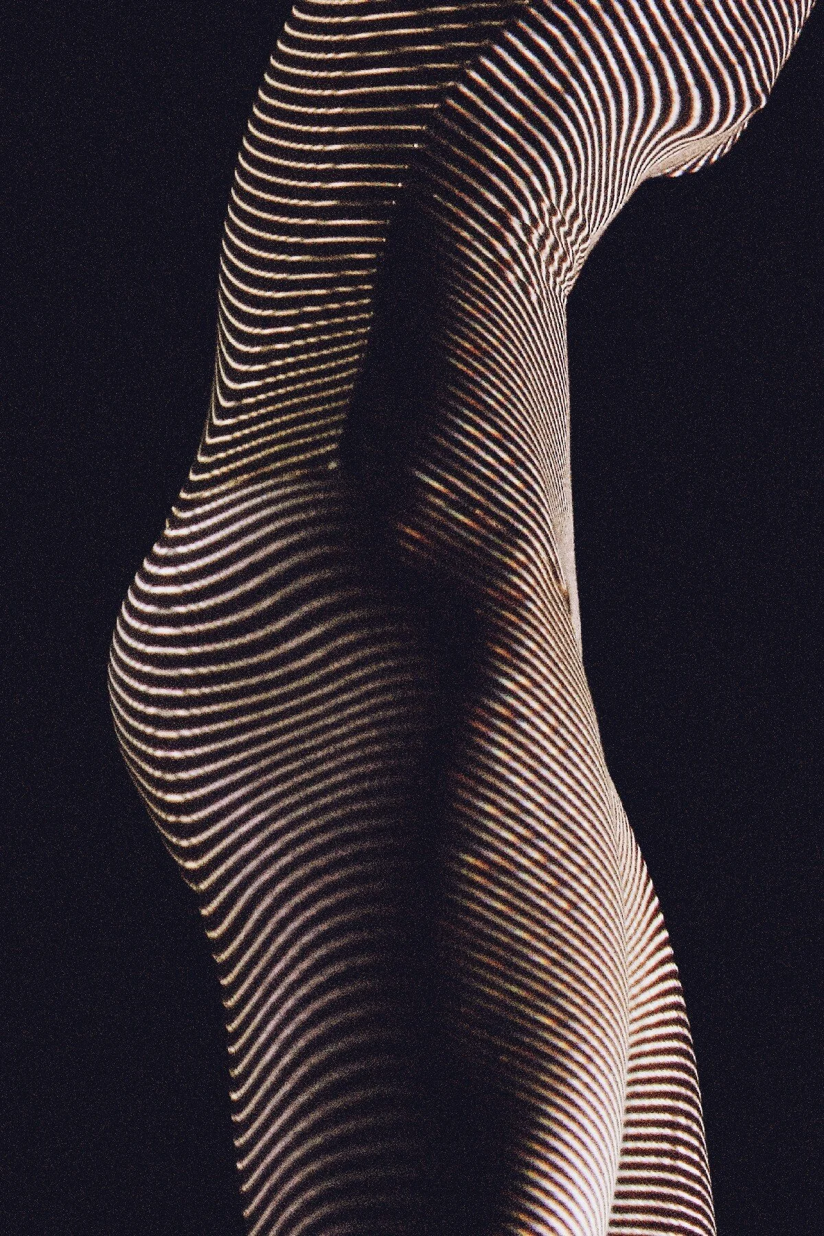 zoranvarga artsy 013.jpg