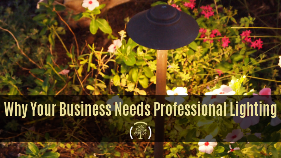 Landscape Lighting Techniques.png
