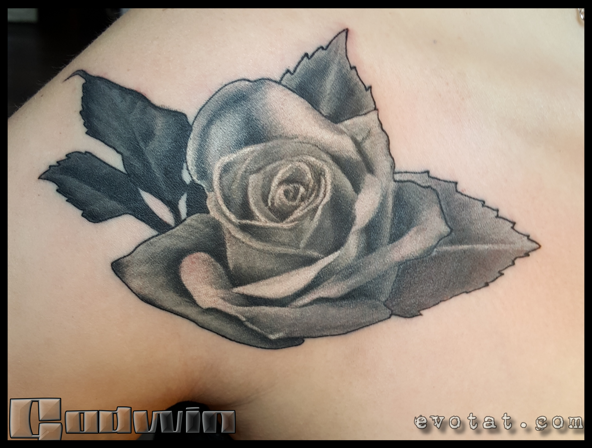 Question about cover ups and black and grey opaque  Help Me Tattoo  Training Forum  Tattooing 101