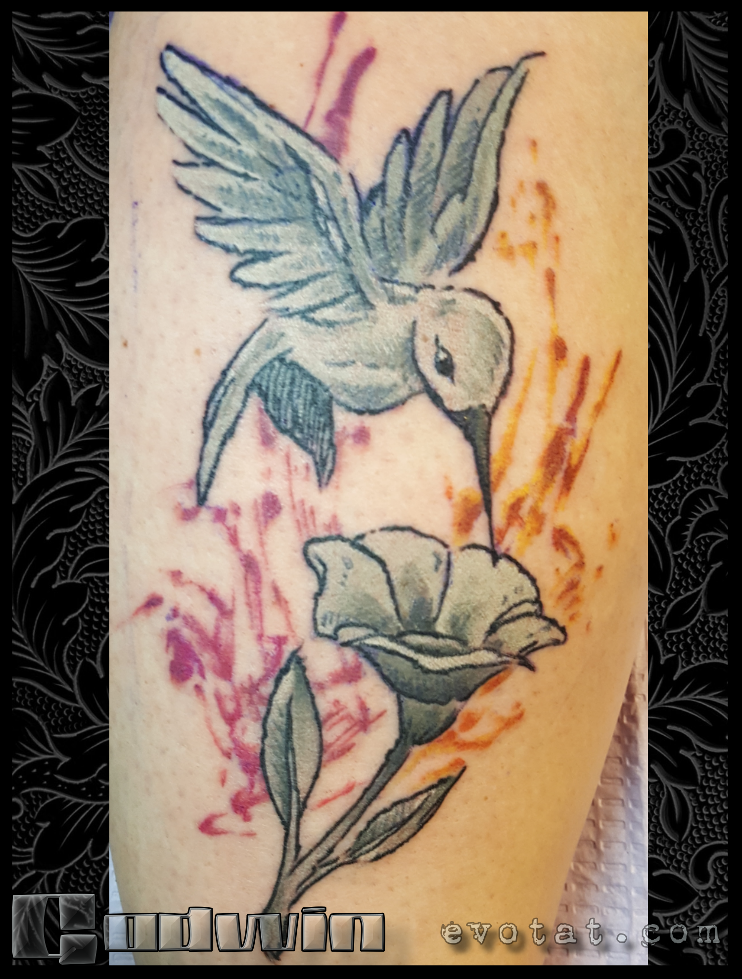 Sketchy Hummingbird.png