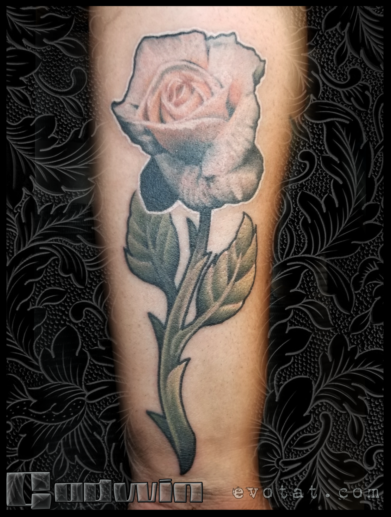 Gorman Salmon Rose.png