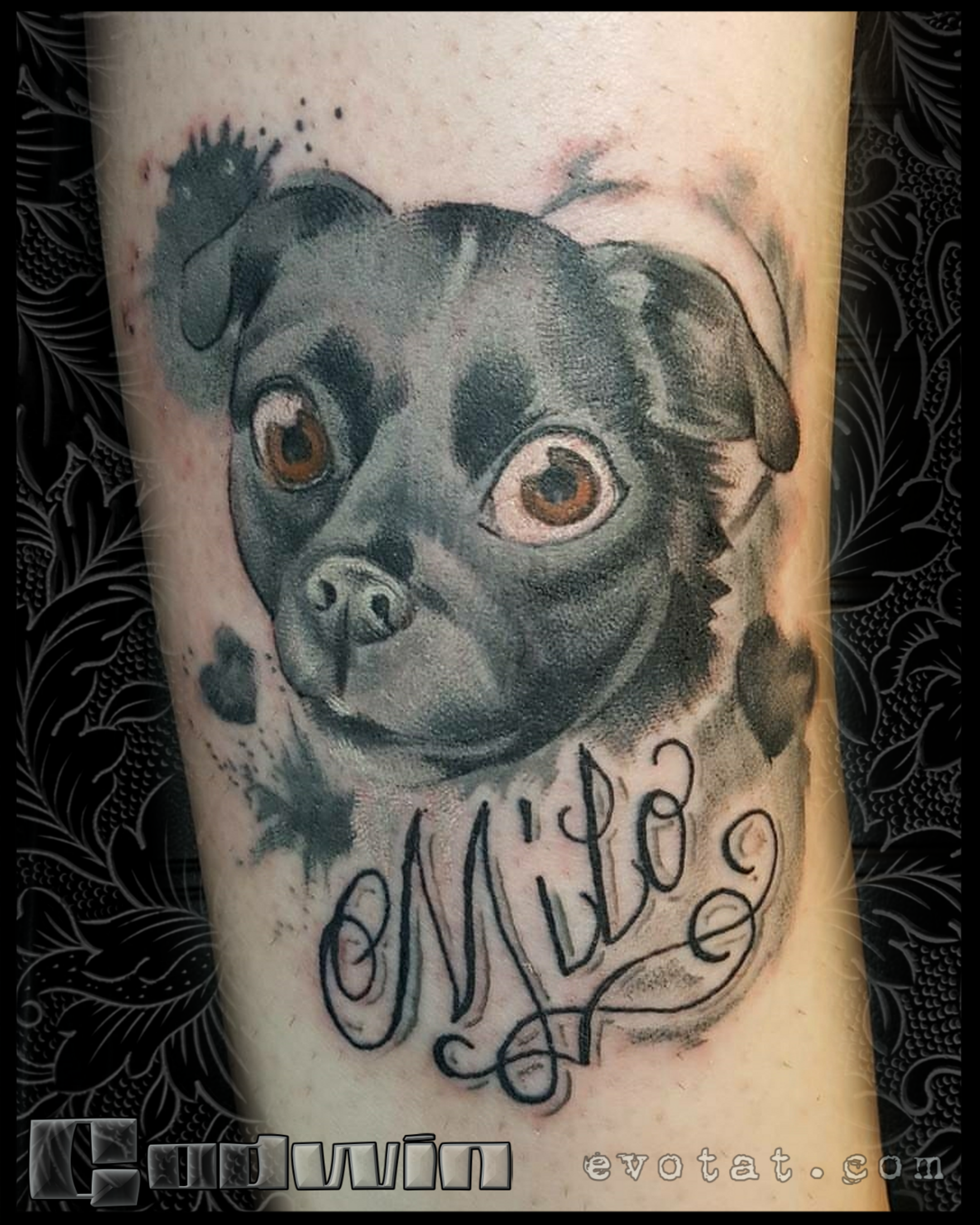 Milo Puppy.png